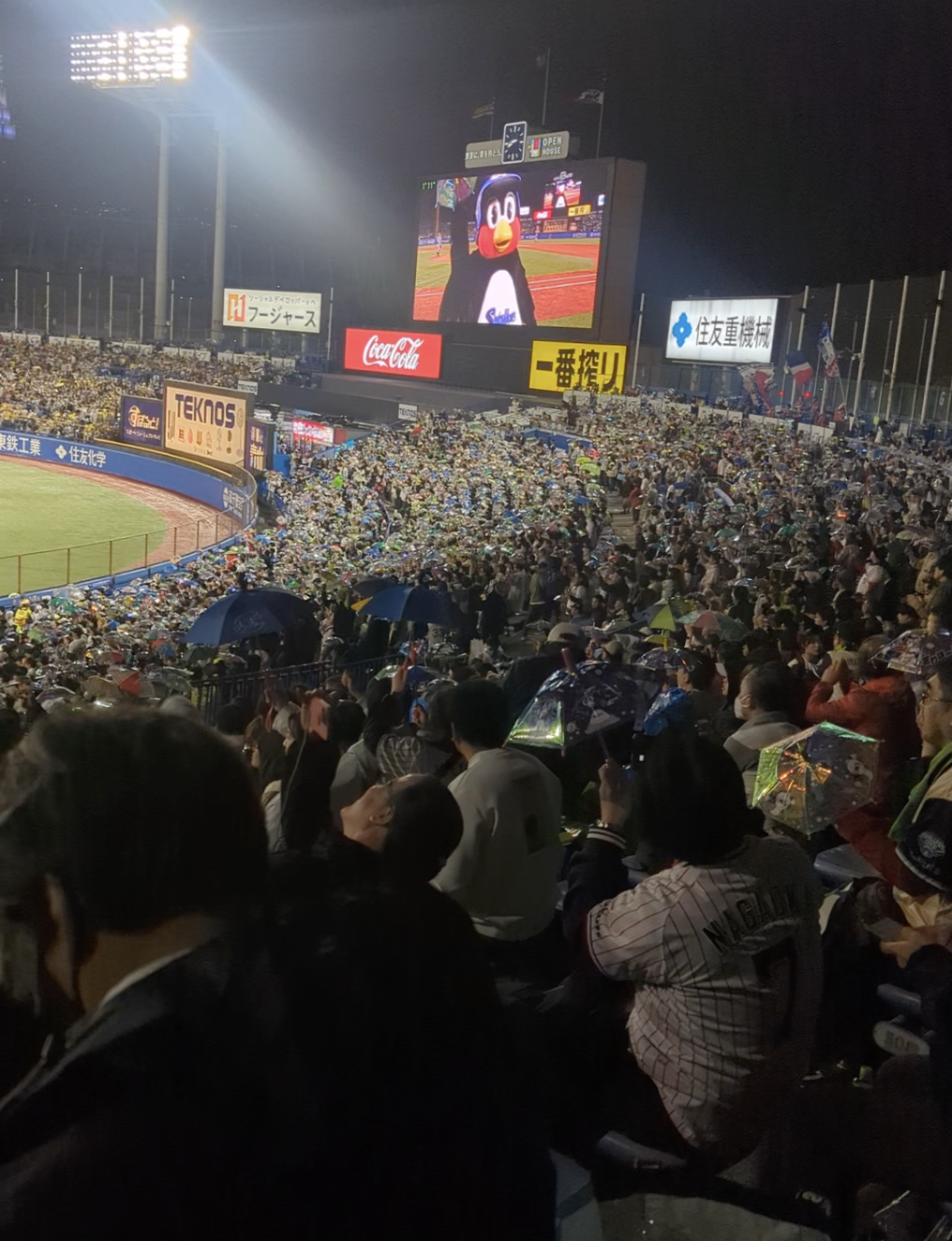 Tokyo Yakult Swallows fans doing the umbrella dance.