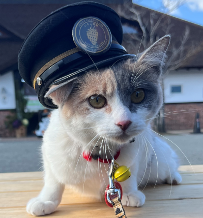 Station master trainee Rokutama